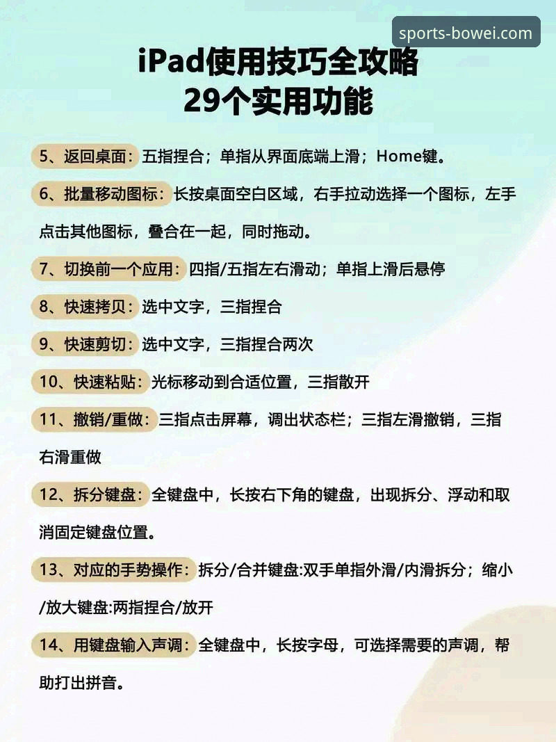 宝威体育电脑版使用指南：从新手到老玩家的完整体验分享